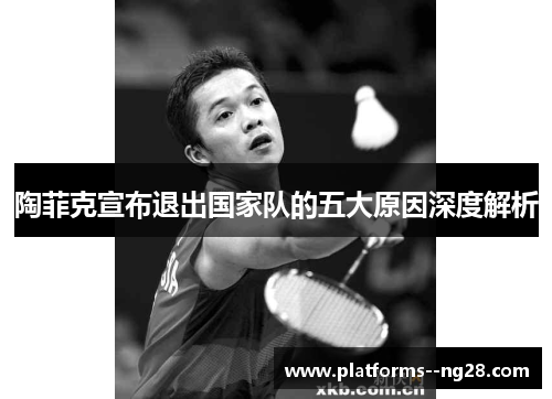 陶菲克宣布退出国家队的五大原因深度解析