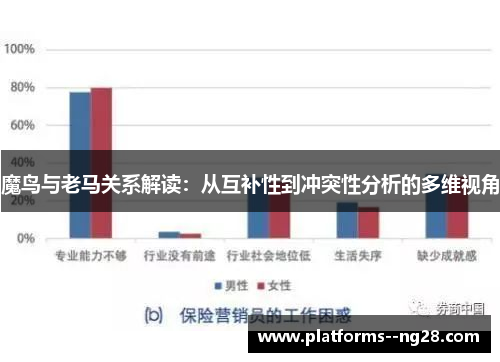 魔鸟与老马关系解读：从互补性到冲突性分析的多维视角