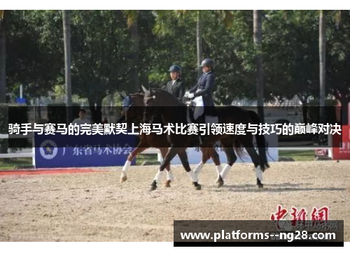 骑手与赛马的完美默契上海马术比赛引领速度与技巧的巅峰对决